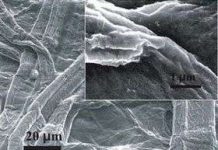 Siêu tụ điện bền, nhẹ, rẻ, đa dụng làm từ giấy Siêu tụ điện bền, nhẹ, rẻ, đa dụng làm từ giấy