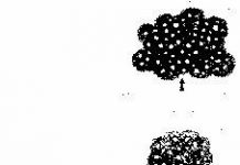 Mây được hình thành như thế nào?