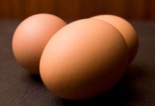 Tại sao hai đầu quả trứng lại to, nhỏ khác nhau?