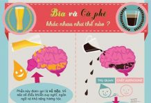 Bia và cafe khác nhau như thế nào?