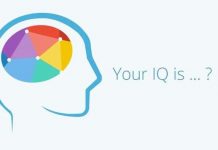 Có 8 loại trí thông minh và ai cũng sở hữu ít nhất 2 loại