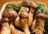 Tìm hiểu về các loại nấm kỳ lạ trong ẩm thực Nhật Bản (1)
