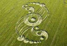 Cảnh sát Anh 'gặp người ngoài hành tinh'