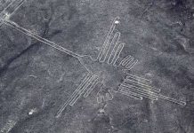 Ẩn ý trong những hình vẽ khổng lồ thời tiền sử