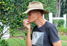 Con đường độc đáo ở Australia chỉ cần "nhìn là muốn ăn"