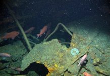 Tàu ngầm đầu tiên của Úc đã được tìm thấy sau hơn 100 năm biến mất