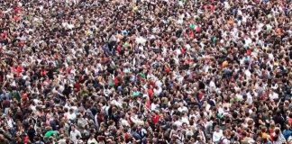 Tại sao người thông minh thường ít bạn?