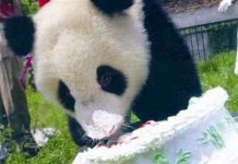 Những khám phá bạn đã biết?