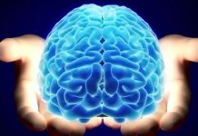 Điều khiển robot bằng tín hiệu não