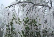 Sa Pa có thể có băng giá lần thứ hai trong năm