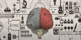 Bộ não của các doanh nhân có gì khác biệt?