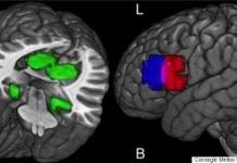 Các nhà khoa học Mỹ tìm ra cách đọc ý nghĩ của con người