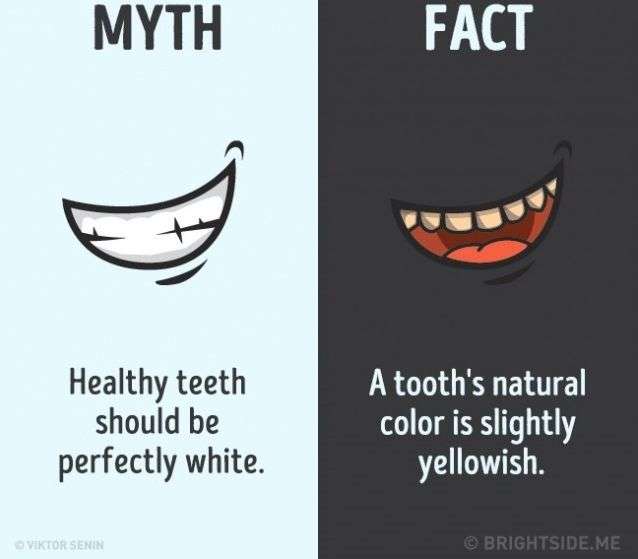 12 nhận thức sai lầm bạn vẫn luôn tin là đúng