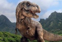 Đứng cách Trái Đất bao xa thì chúng ta có thể nhìn thấy khủng long còn sống?