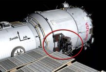 Khả năng sống sót của hạt giống trong vũ trụ