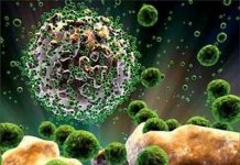 Australia tìm ra chìa khóa chữa căn bệnh HIV/AIDS