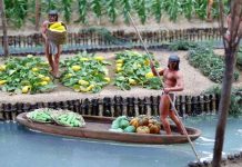 10 thứ người cổ xưa làm tốt hơn chúng ta ngày nay (Phần 2)