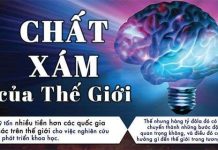 Chất xám của thế giới