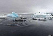 Giải mã âm thanh bí ẩn “cạc, cạc” ngoài đại dương