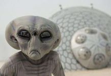 Người ngoài hành tinh có thể nặng bằng gấu Bắc Cực Người ngoài hành tinh có thể nặng bằng gấu Bắc Cực