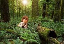 Câu chuyện lạc vào thế giới lòng đất của cậu bé 5 tuổi khiến các nhà khoa học bối rối