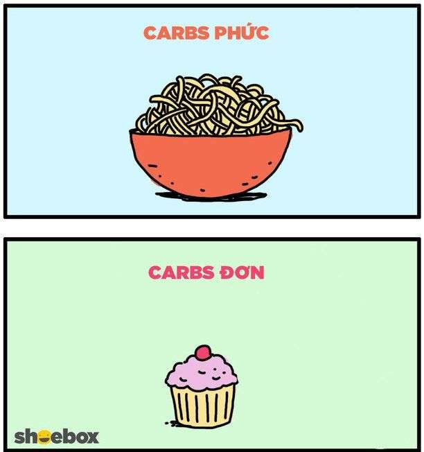 Tìm hiểu về carbohydrate, điều mà mọi người cần biết