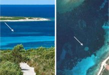 Giải mã những vòng tròn thần tiên ở vùng biển Đan Mạch