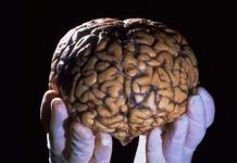 Liệu bộ não có bị "nổ tung" khi quá tải thông tin