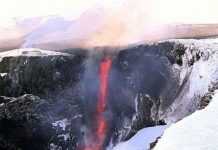 Bí ẩn ngày tận thế: Hiểm họa gây tuyệt chủng (II)