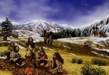 Vì sao người Neanderthal có đôi chân ngắn?