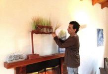 Thú vị với biển quảng cáo kiểu vườn treo ở Los Angeles