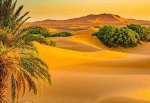 Phải chăng chính con người đã biến Sahara thành sa mạc?