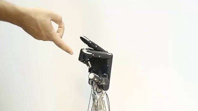 Các nhà nghiên cứu tạo ra bàn tay robot linh hoạt như tay người