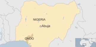 “Bệnh lạ” giết người ở Nigeria là thuốc diệt cỏ?