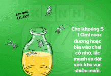 Tuyệt chiêu "ăn - mặc - ở" giúp bạn tiêu diệt muỗi triệt để