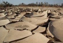 Ba chảo lửa nóng hơn 50 độ vẫn có người sống