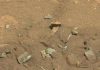 NASA lý giải về hình ảnh giống xương người trên sao Hỏa