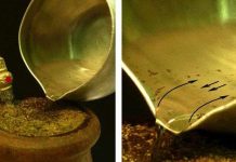 Hiệu ứng vật lý kỳ lạ được khám phá ra từ những cốc trà tầm thường