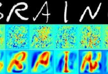 Máy đọc "xuyên thấu" não người