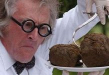 Giấy cực đẹp làm từ phân voi