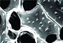 Chế tạo miếng vá tim mới