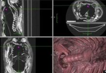Phát hiện gây sốc về xác ướp Ai Cập