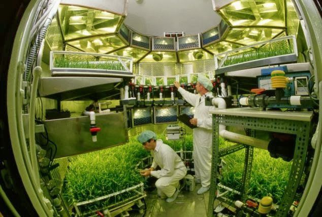 Phi hành gia sắp được ăn rau xanh trồng ngoài không gian