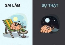 10 quan niệm sai lầm phổ biến về cơ thể người