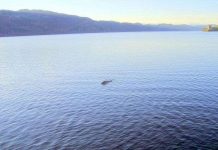 Đã tìm thấy quái vật hồ Loch Ness