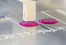 Đột phá về mực sinh học "in" bộ phận cơ thể người