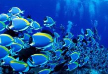 10 "tiên đoán" mới cho nhân loại