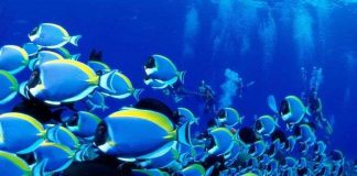 10 "tiên đoán" mới cho nhân loại