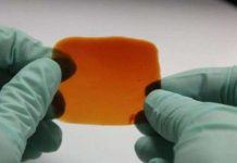 Phát triển thành công cơ nhân tạo y như đồ thật, lại có khả năng tự tái tạo