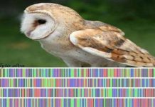 Đánh dấu mã vạch DNA trên sinh vật